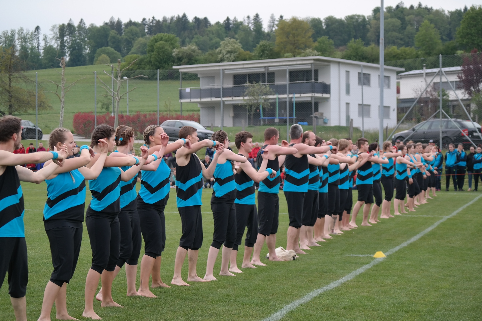 Bild 1 (272)